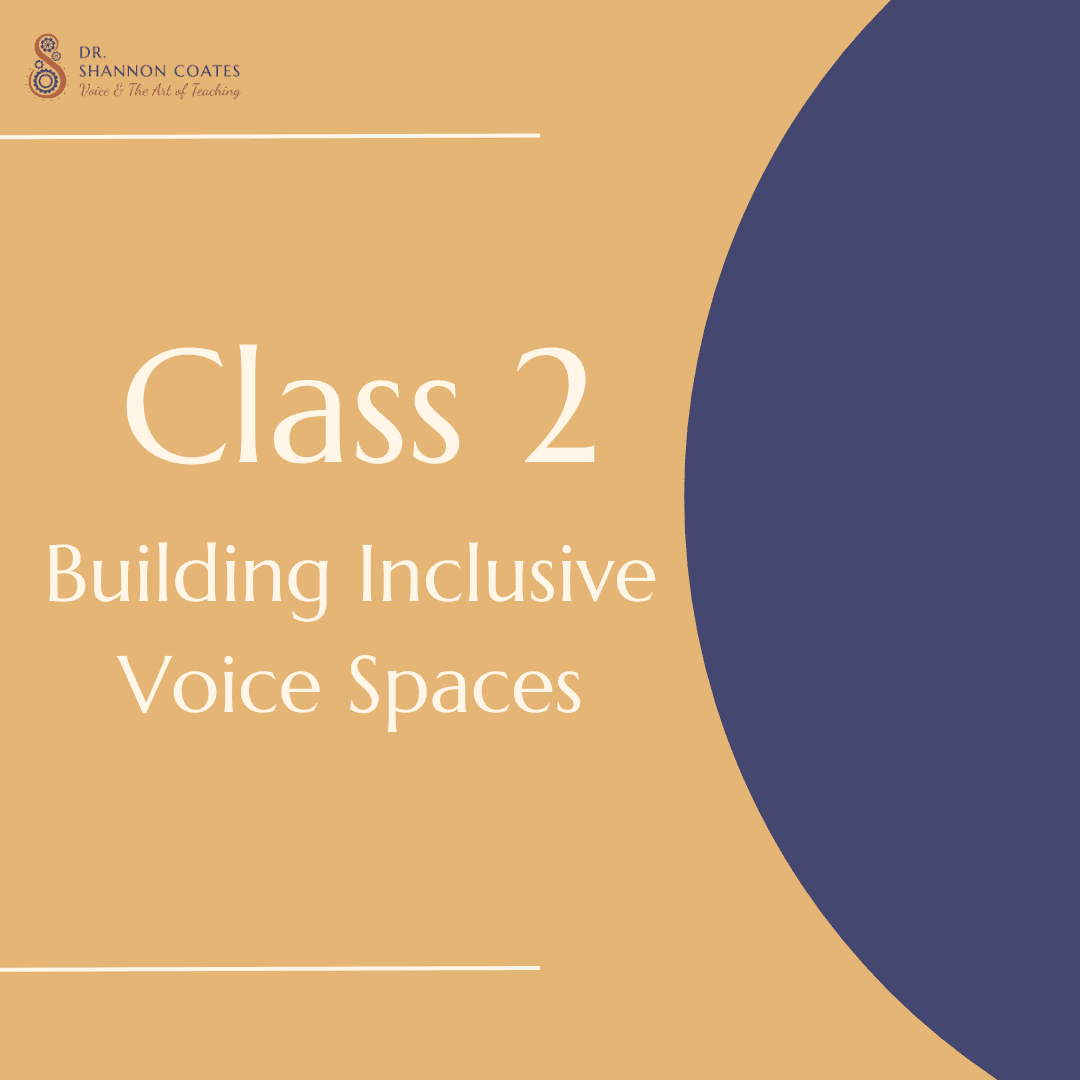 NDA class Building Inclusinve Voice Spaces